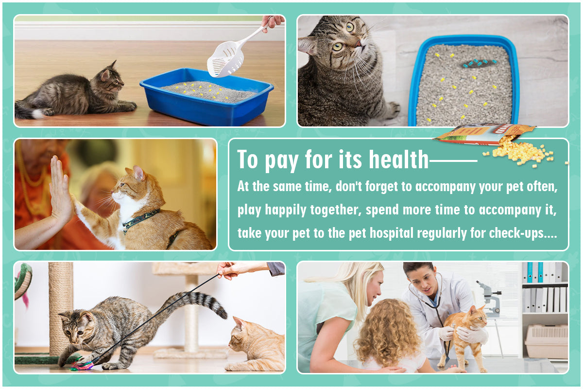 Cat Urine Blood Detector | Easy At-Home Health Check for Your Feline