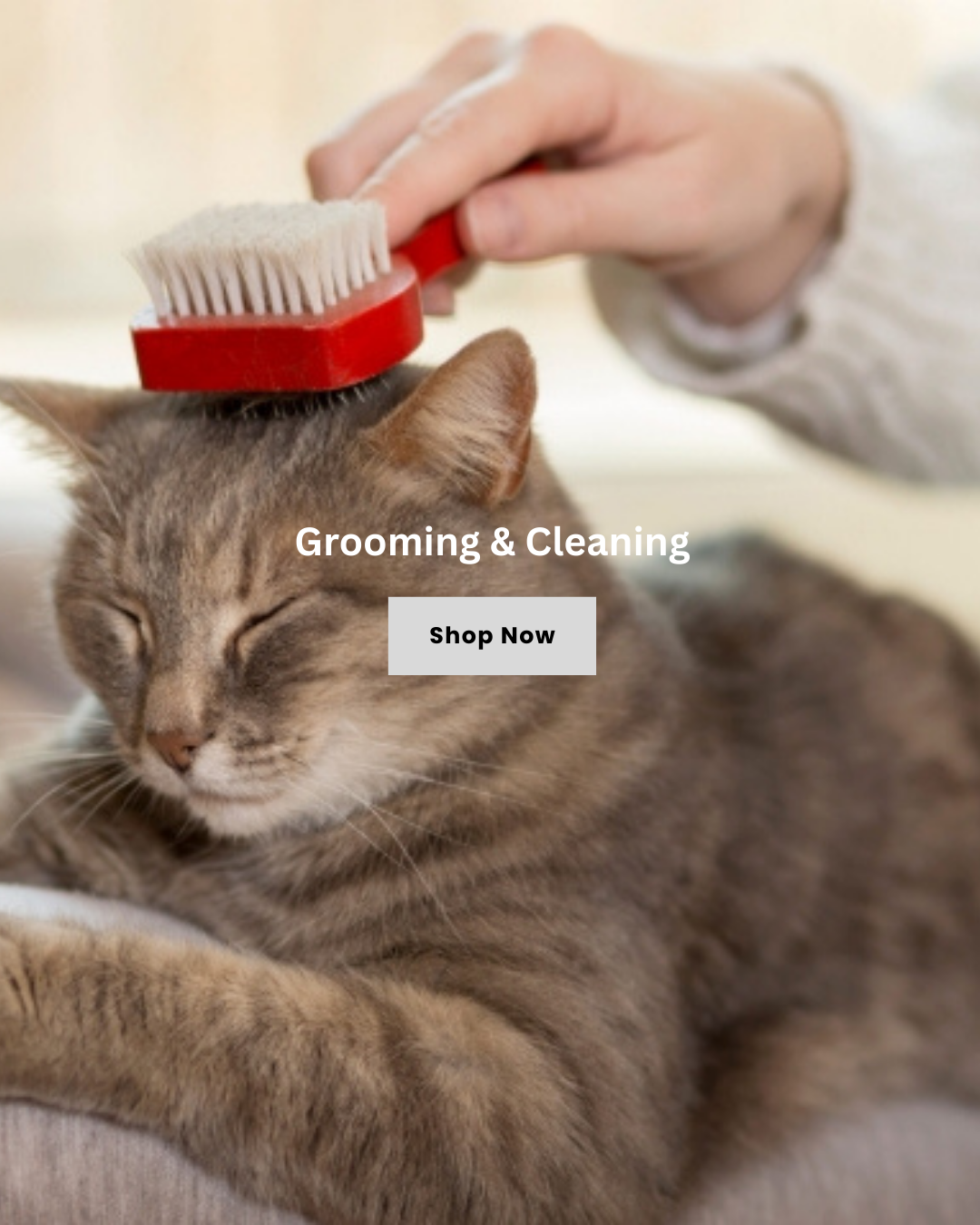 Grooming & Cleaning Time