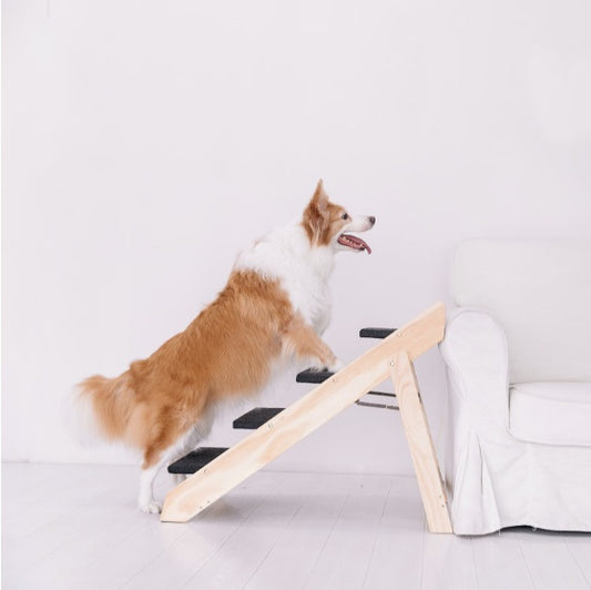 Wooden Foldable Pet Stair & Ramp