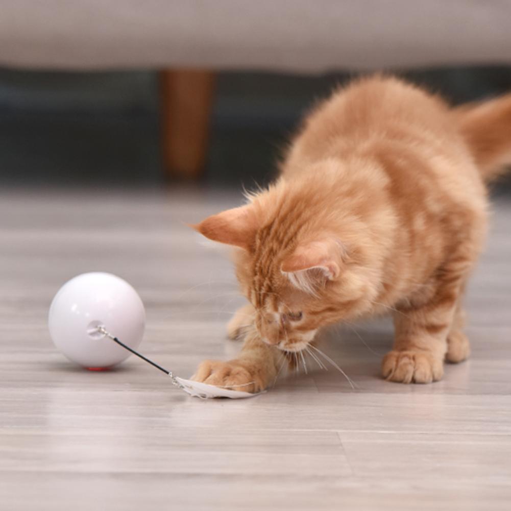LED Laser Electronic Rolling | Pet Funny | Cat Toy Ball