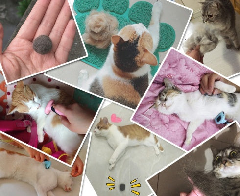 Professional Pet Grooming Comb – For Long Straight Hair