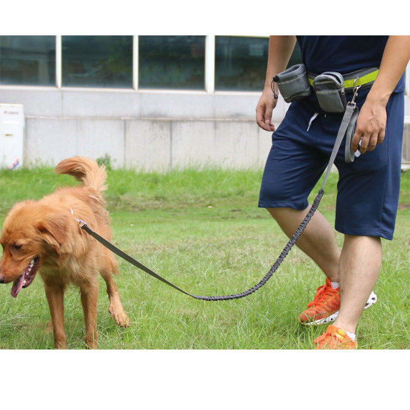 Hands-Free Dog Running Leash Set with Waist Bag