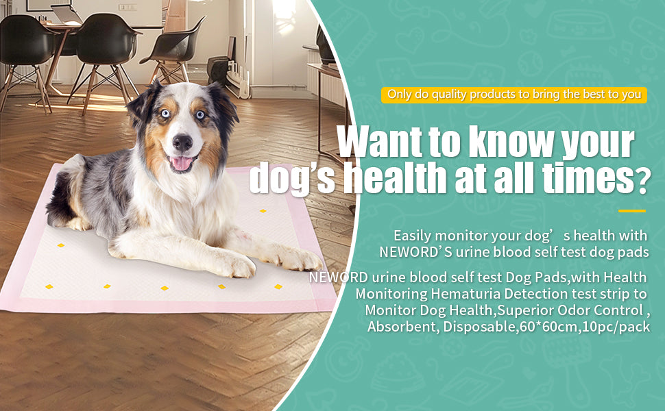 Dog Detection Urine Pad