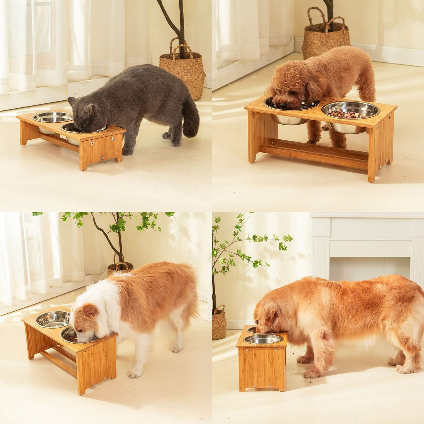 Medium Sized Dog Bowl Rack