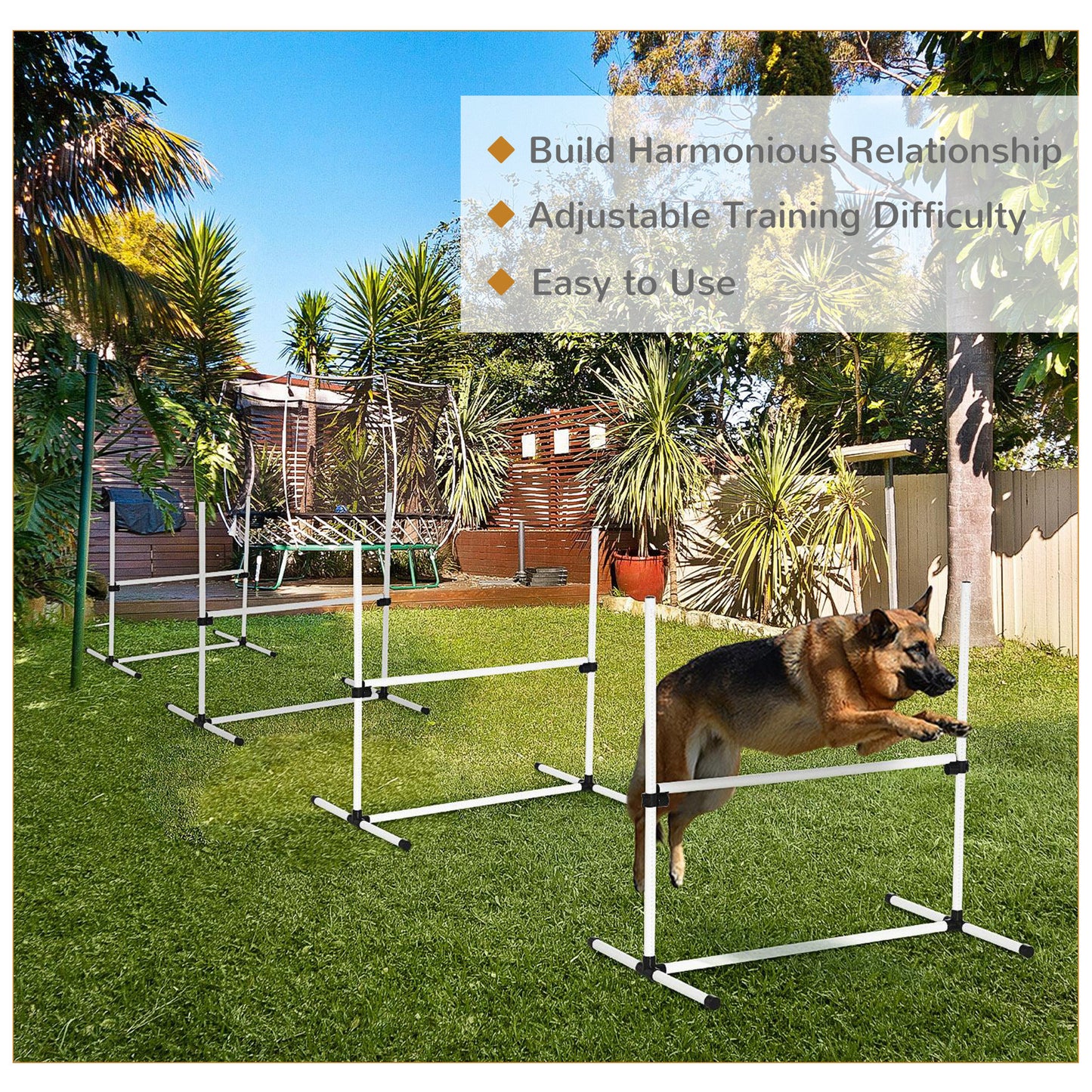 Dog Agility Training Equipment With Height-adjustable Jumping Poles