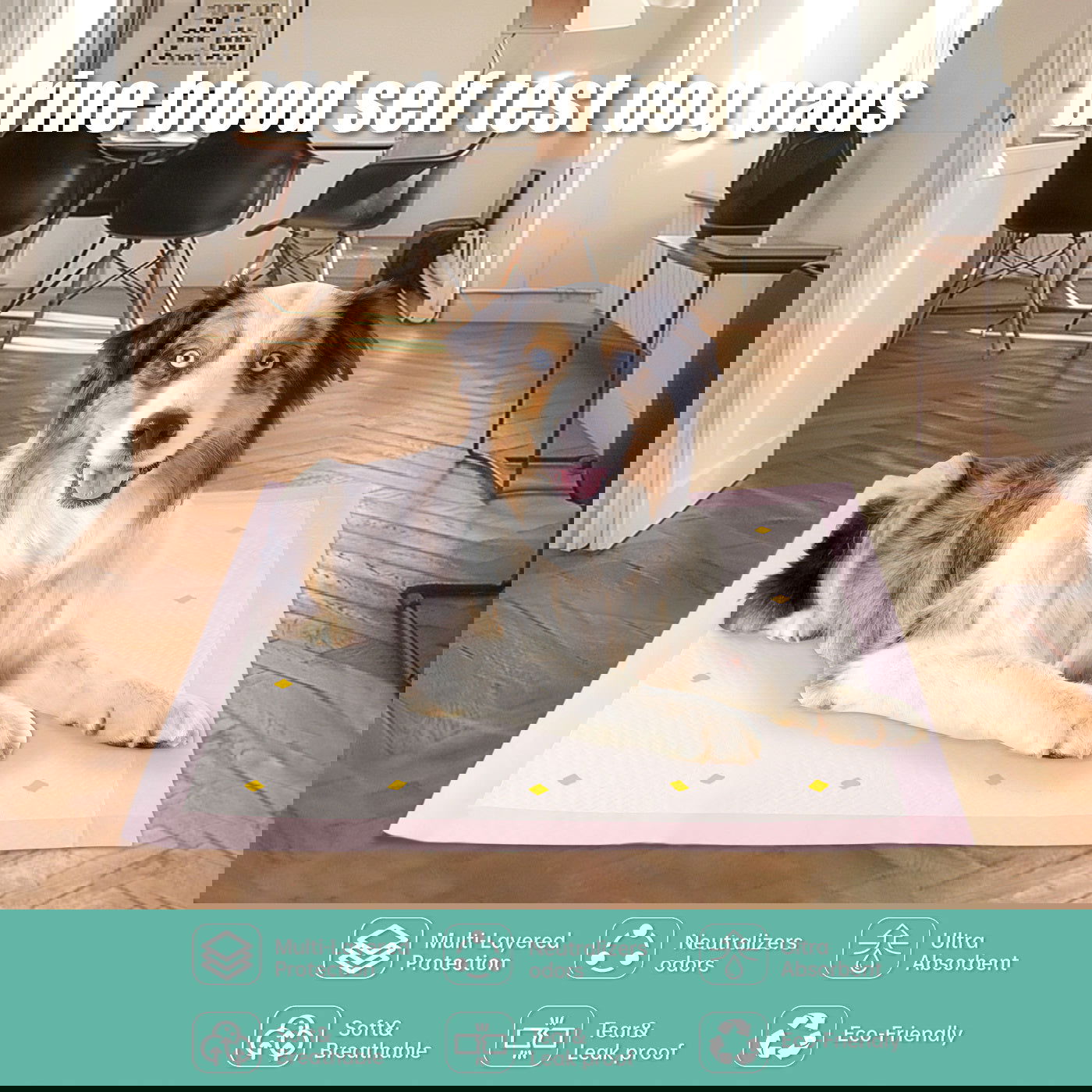 Dog Detection Urine Pad - Lucky Pets Supplies