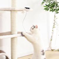 Pet Cat Toy Electronic Motion Cat Toy Interactive - Lucky Pets Supplies