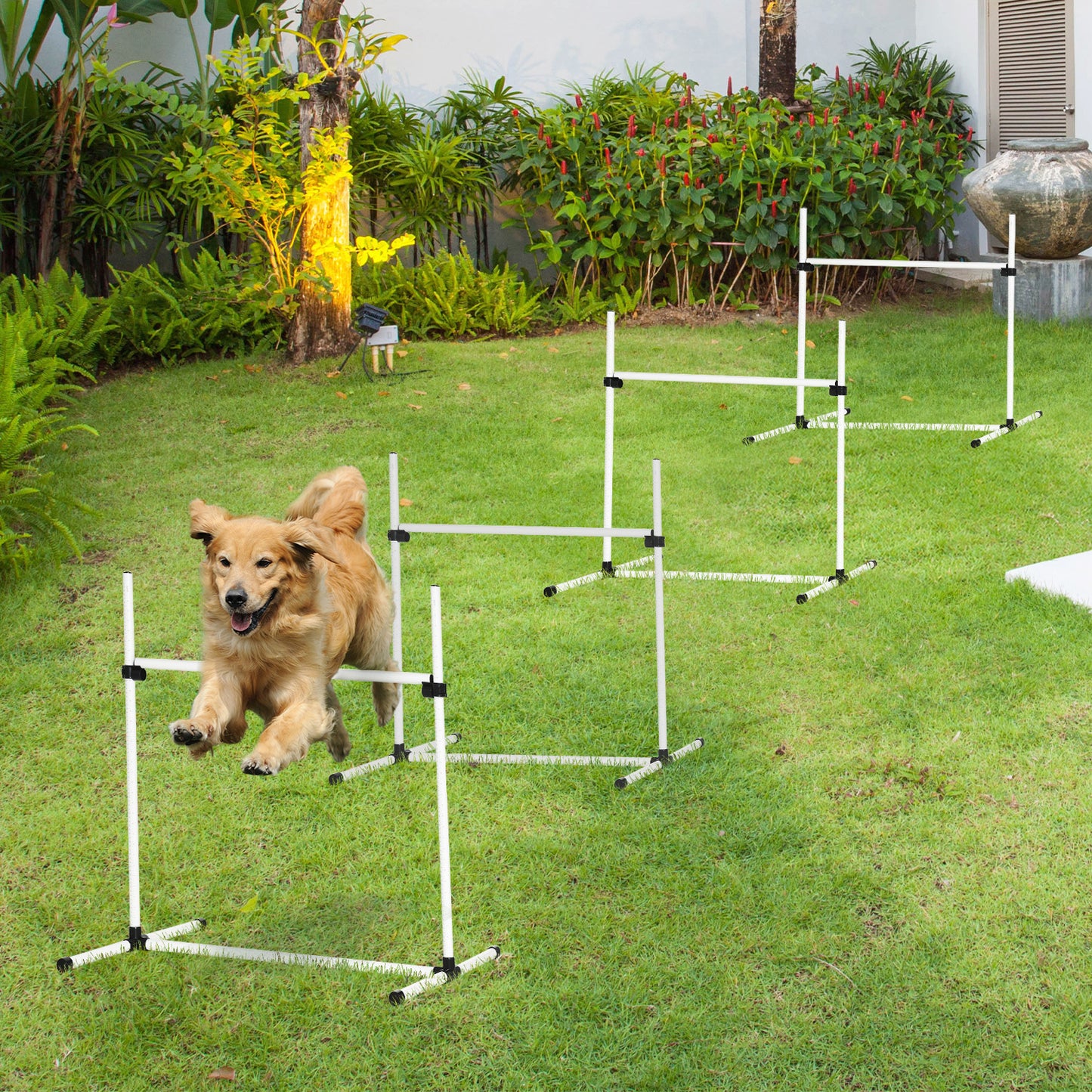 Dog Agility Training Equipment With Height-adjustable Jumping Poles