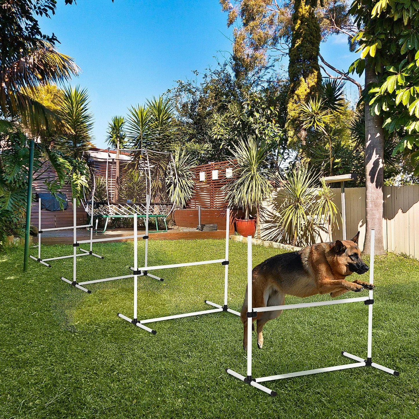 Dog Agility Training Equipment With Height-adjustable Jumping Poles