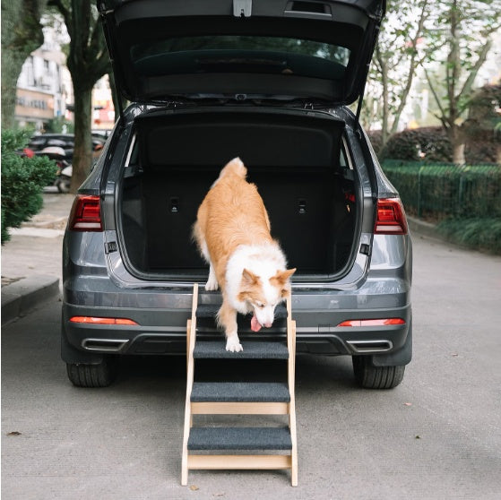 Wooden Foldable Pet Stair & Ramp